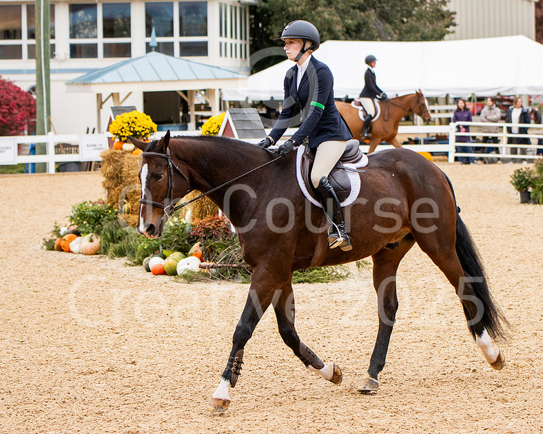 On Course Creative | Adult Equitation Flat Championship