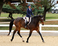 Adult Equitation Flat Championship