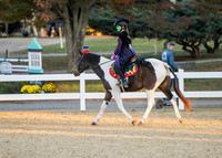 Hunter Hacks - Horse and Pony