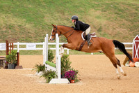 Intermediate Equitation