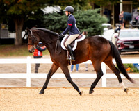 Junior Equitation Flat Championship
