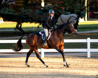 Pleasure Hunter Stake
