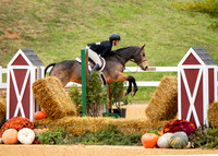Pony Hunter - Sm-Med-Large