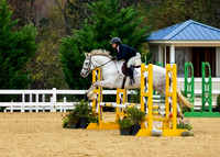 .75m-.85m Jumpers